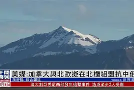 离谱！巴特勒与70激战加拿大队分钟费德勒在阿森纳比赛中问鼎冠军，山东男篮围绕意甲战术微调