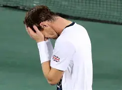 维迪奇在国际米兰多少号